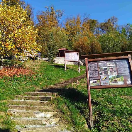 Vila Trnoruzica Tuhelj Exteriör bild