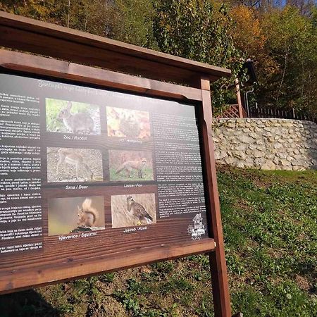 Vila Trnoruzica Tuhelj Exteriör bild