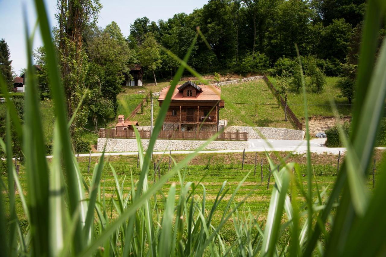 Vila Trnoruzica Tuhelj Exteriör bild
