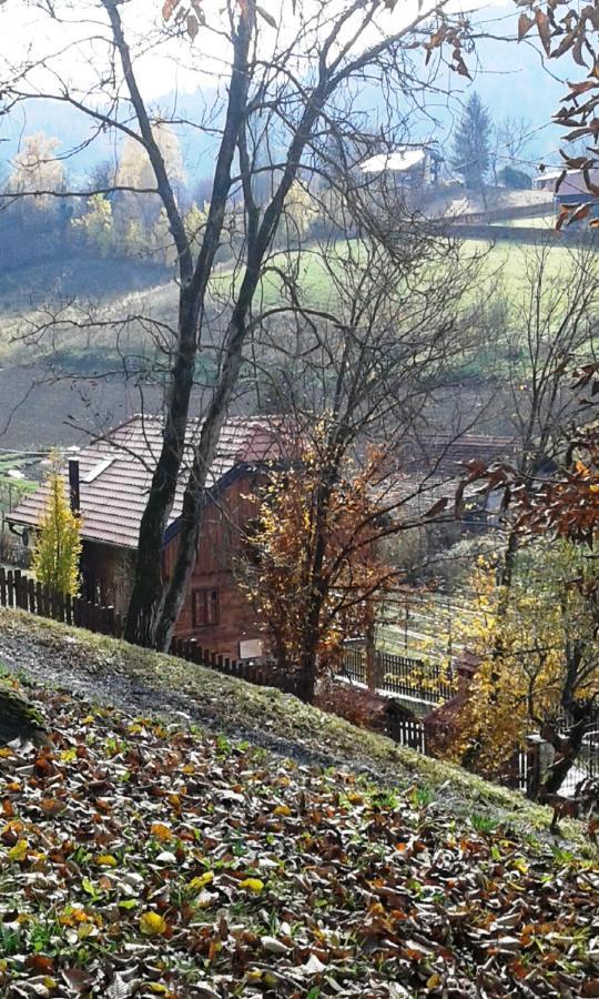 Vila Trnoruzica Tuhelj Exteriör bild
